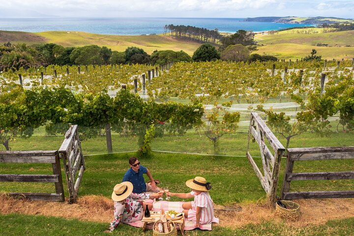 Discover delightful local cuisine while exploring stunning landscapes solving puzzles and enjoying a unique picnic experience in the beautiful Matakana region of Auckland. Perfect for food lovers and adventurers alike.
